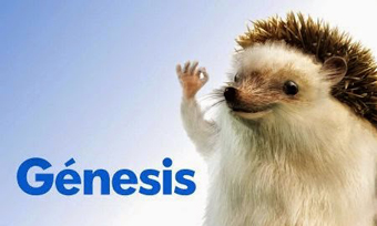 Genesis seguros